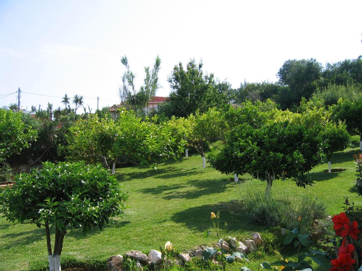 Tara Beach Hotel Skala  Экстерьер фото